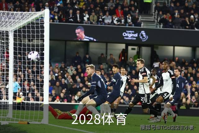 关于2028体育